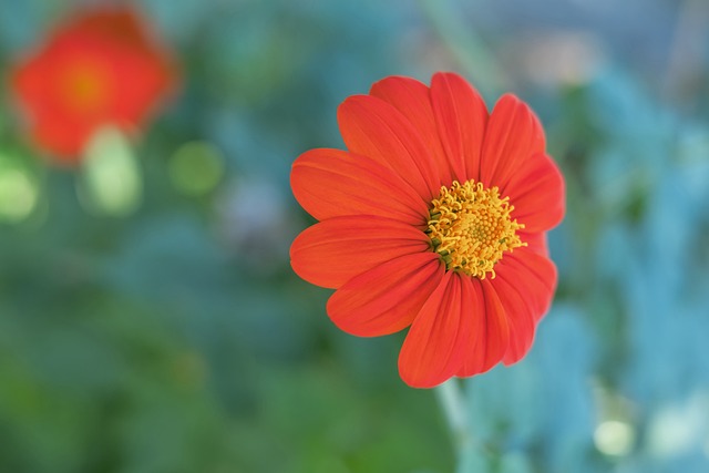 随着全民健 随着全民健