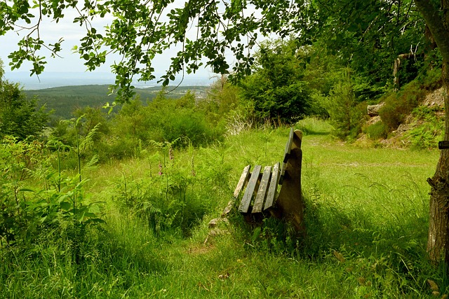 无论最终比 无论最终比