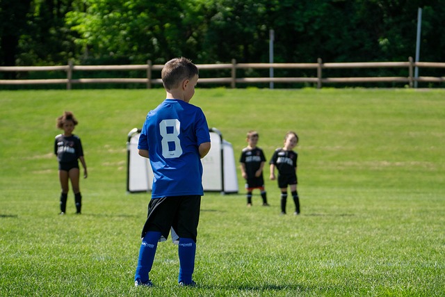 力则为球队 力则为球队