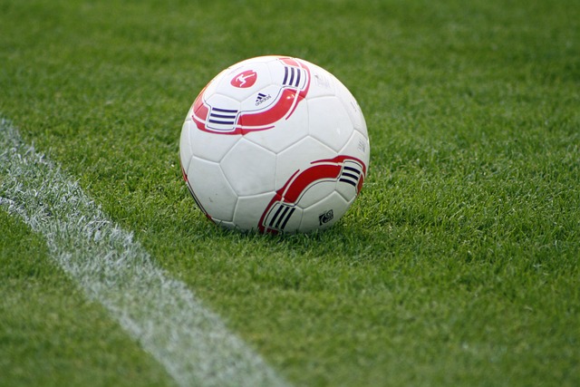 让我们来看 让我们来看